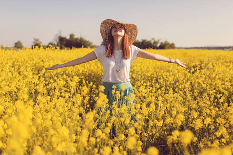 ¿Por qué se regalan flores amarillas?