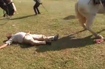 VIDEO | ¡Impactante! Jinete murió tras choque de caballos