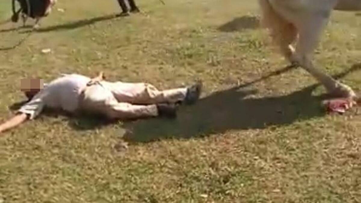 VIDEO | ¡Impactante! Jinete murió tras choque de caballos