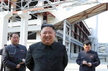 Kim Jong-un ordenó exterminar masivamente a palomas y gatos como medida para frenar el Covid-19