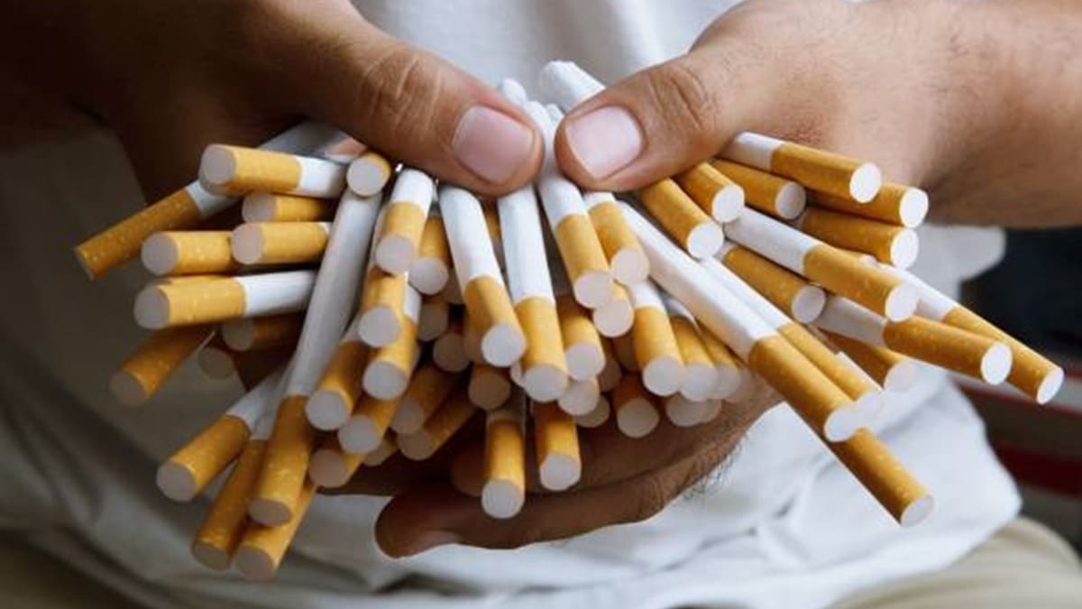 Día Mundial Sin Tabaco : Mitos y realidades sobre el consumo de tabaco