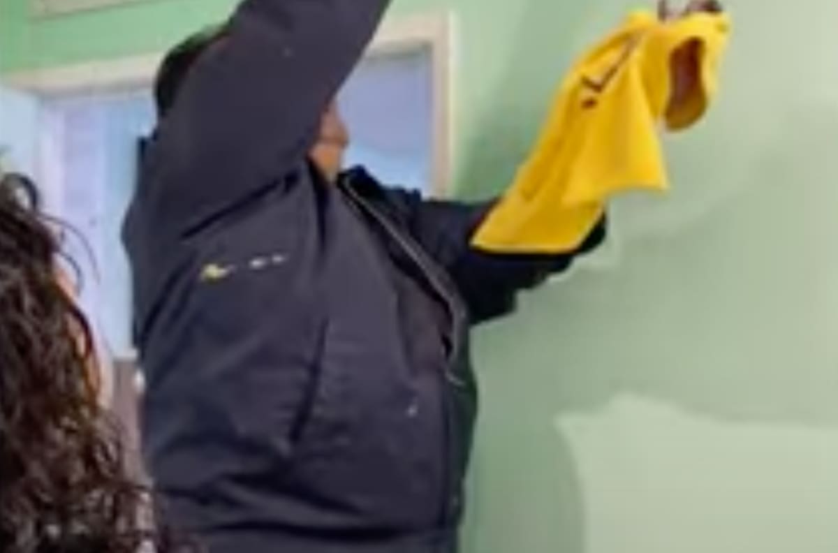 La heroína del día: una mujer rescató a un gatito que estaba atrapado dentro del aire acondicionado