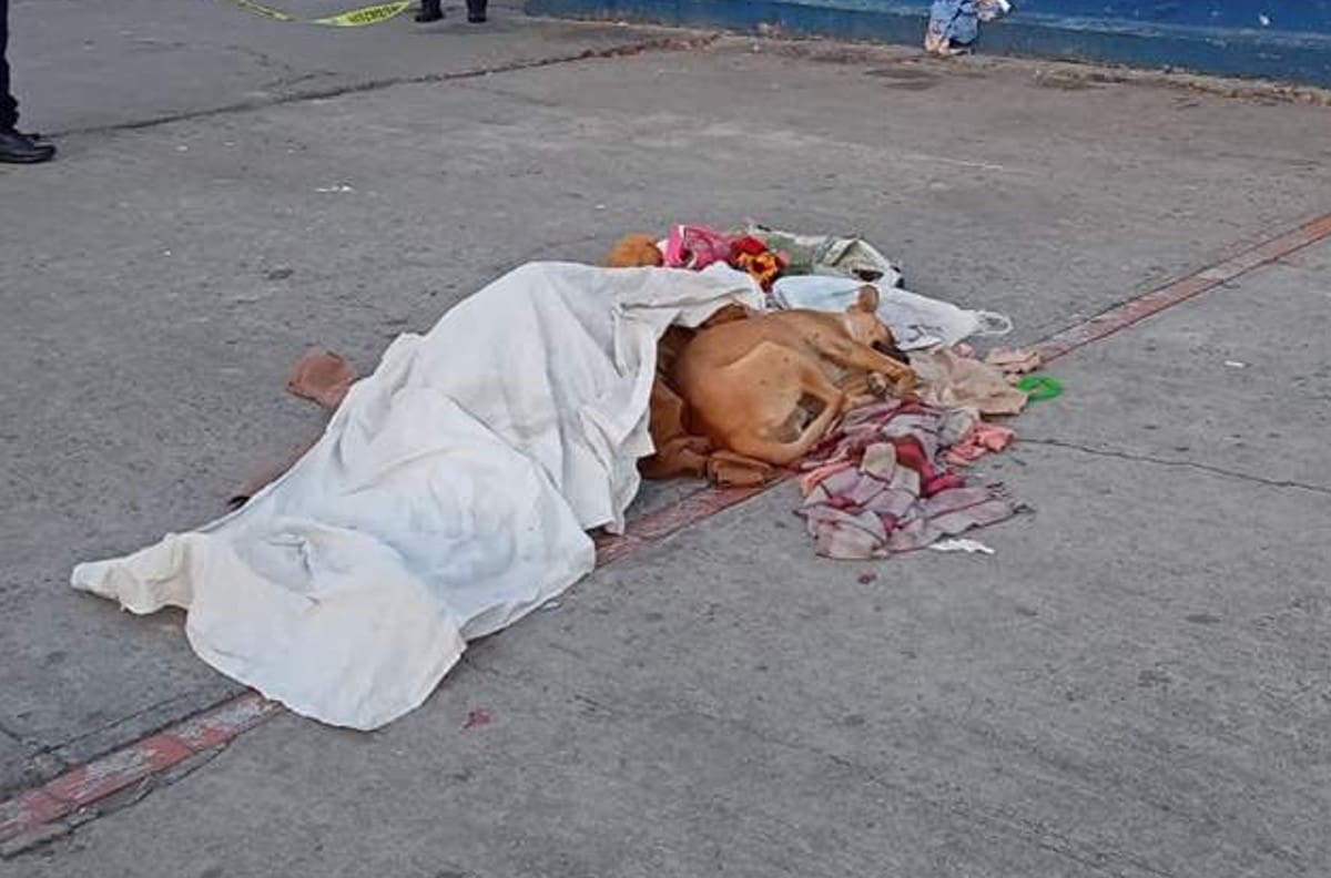 FOTO: Perrito cuida el cadáver de su dueño en Metro de la CDMX y se vuelve viral