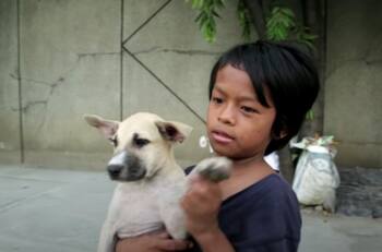Video: Un niño abandonado y su perro se hacen virales por su historia de amor