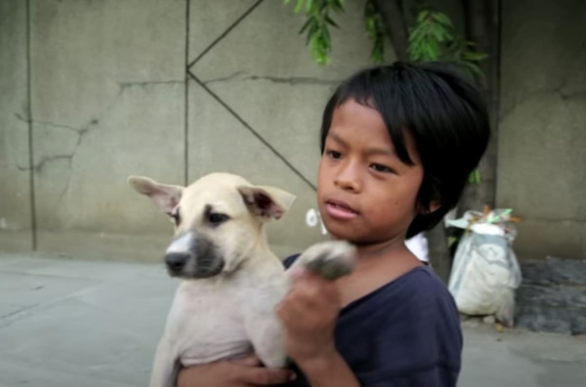 Video: Un niño abandonado y su perro se hacen virales por su historia de amor