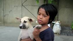 Video: Un niño abandonado y su perro se hacen virales por su historia de amor