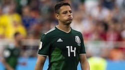 Chivas busca repatriar a este jugador del extranjero y no es el ‘Chicharito’ Hernández