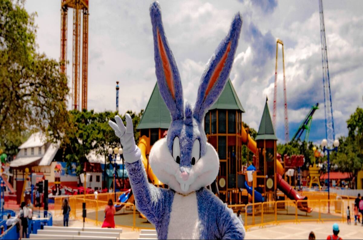 COPRED abre expediente en contra de Six Flags por caso de discriminación a pareja gay