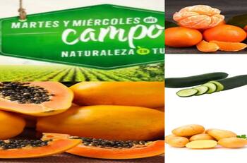 Martes y miércoles del campo en Soriana: Frutas y verduras en oferta este 18 de enero