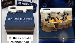 Enamórate de estos calendarios que revelan el castillo de Disney o Hogwarts en su interior