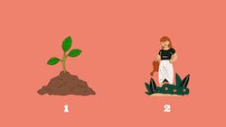 Test de Personalidad: ¿Autocuidado? Elige una opción y descubre cómo es tu relación con él