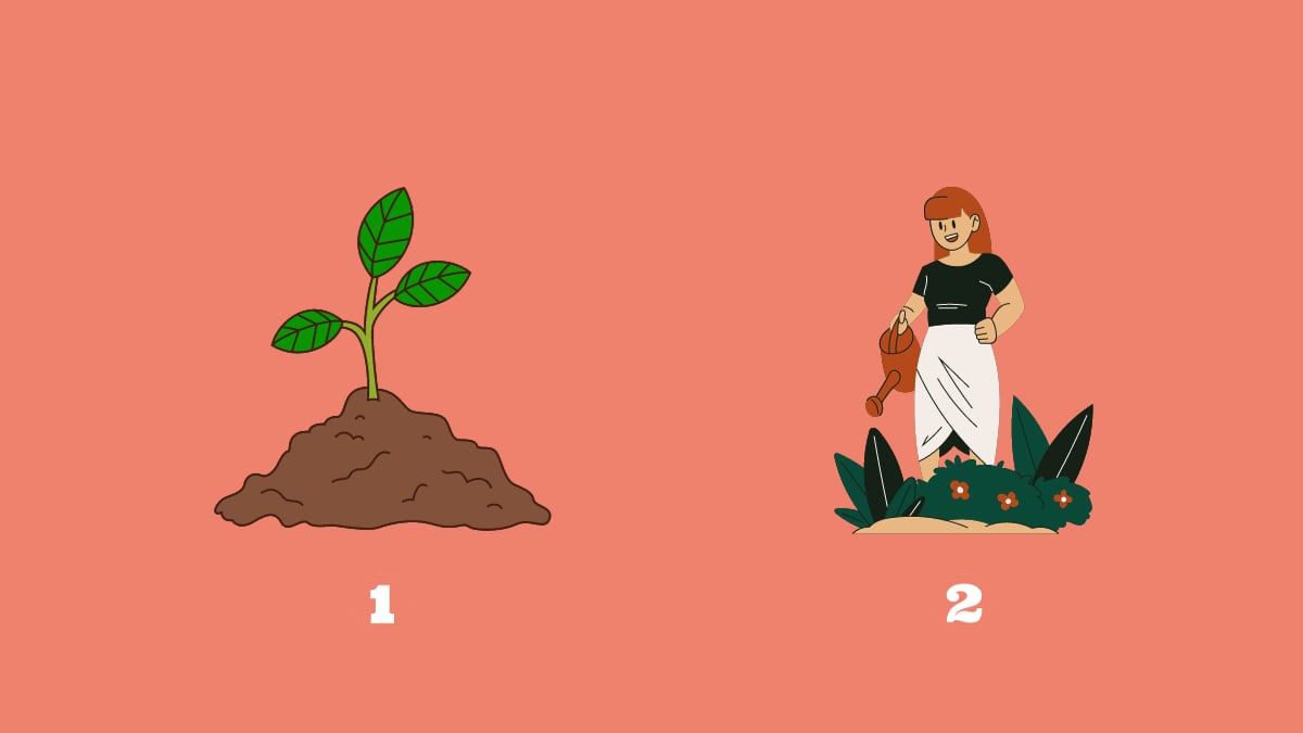 dos opciones en este test de personalidad: unas hojas recién salidas de la tierra; y una mujer regando sus plantas.