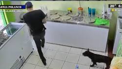 VIDEO | Lomito cómplice: Captan a un hombre y a su perrito asaltar dentro de una tienda