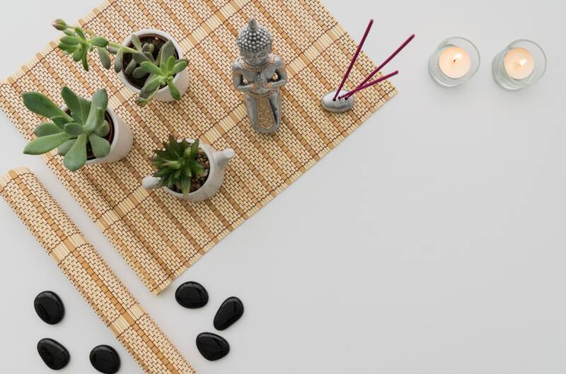 Según el Feng Shui, con estos ejemplares de suculentas, no solo embellecerás tu espacio, sino que también atraerás fortuna y prosperidad.