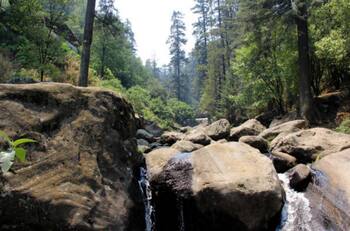 A dónde ir: Estos son dos parques nacionales que debes visitar