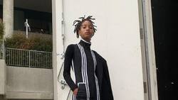 Hija de Will Smith presenta orden de restricción contra delincuente sexual