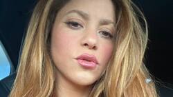 Shakira y Gerard Piqué y el surreal "deporte" del que organizaron un mundial