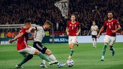 Mundial Qatar 2022: este es el promedio de edad de los jugadores de cada país calificado