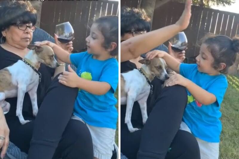 Abuelita defiende a su perrito de su nieto y se viraliza.
