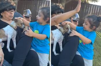 Abuelita defiende a su perrito y se hace viral |VIDEO