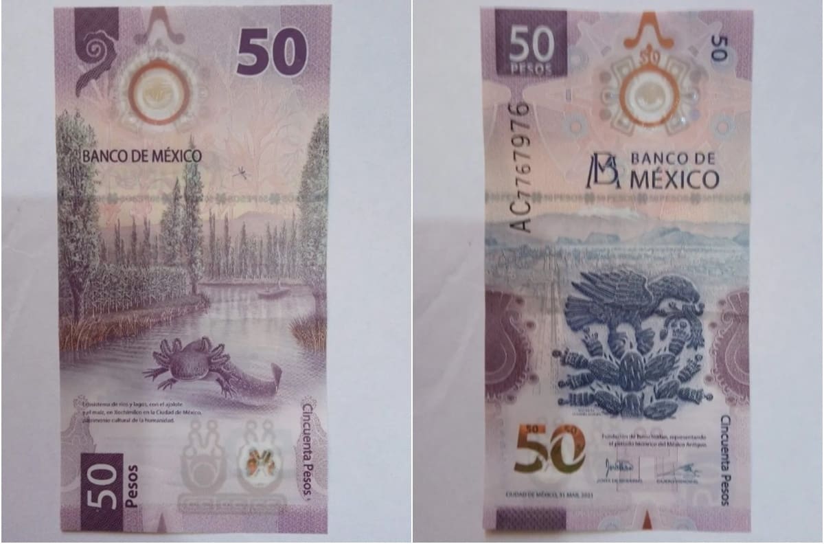 Numismática: Billete de “ajolotito” (50 pesos) se vende en 500 mil pesos
