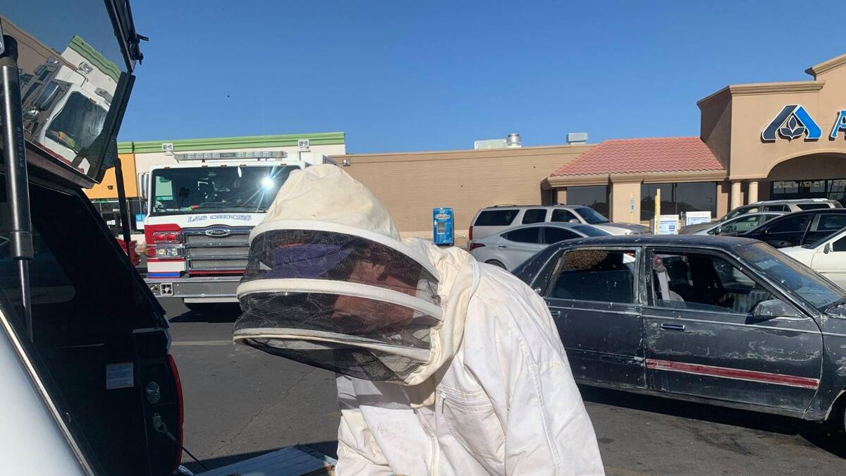Hombre se llevó una sorpresa al encontrar un panal de 15.000 abejas en su auto, lo tuvieron que rescatar los bomberos