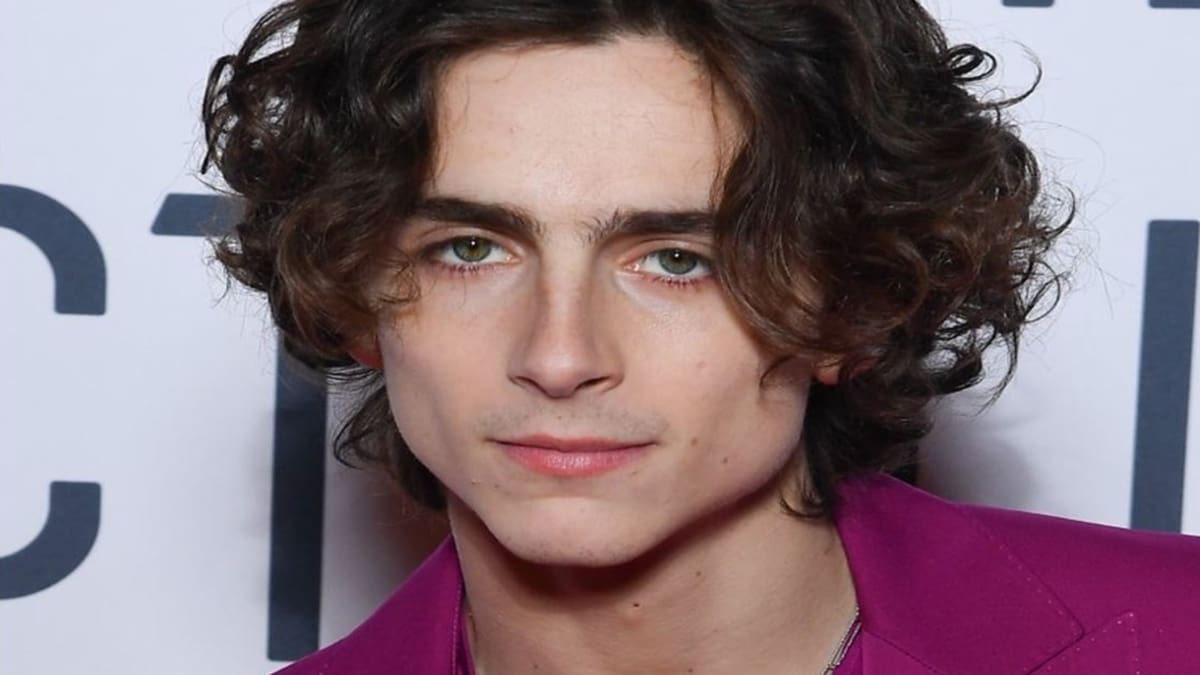 Timothée Chalamet dará vida a Willy Wonka en una nueva película de este personaje