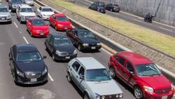 Hoy No Circula: entérate aquí qué vehículos no podrán transitar este 19 de febrero