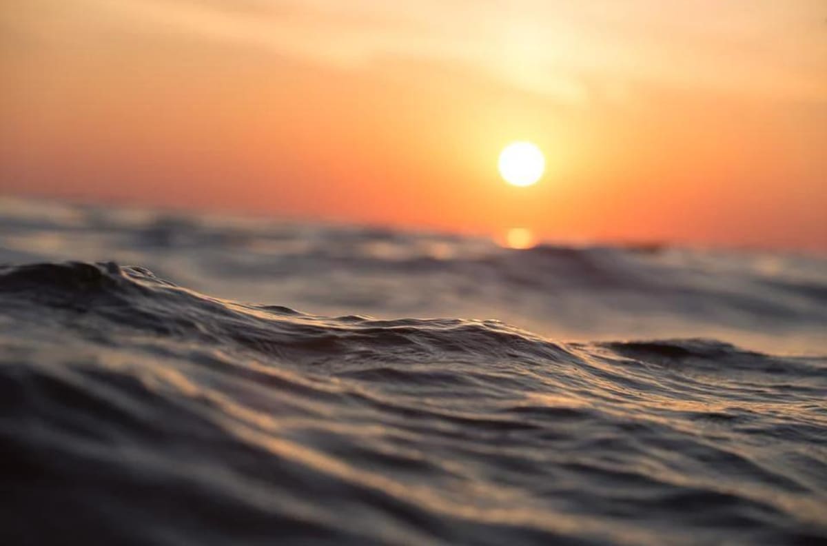 VIDEO VIRAL| Por estas horribles razones no puedes visitar una playa