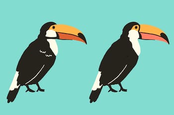 Test visual: ¿Dónde están las 4 diferencias entre los tucanes?