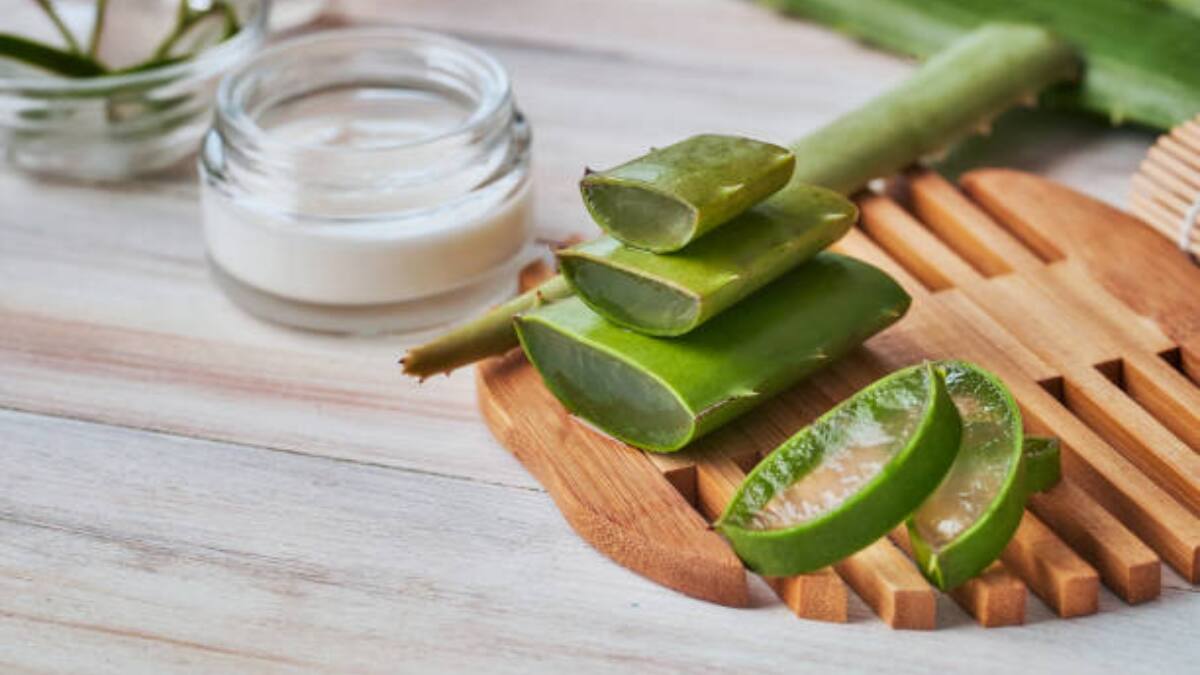 Conoce 3 formas de utilizar el aloe vera y mejorar tu salud ¡Pruébalas!