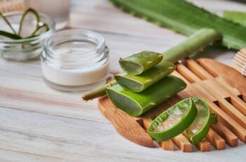 Conoce 3 formas de utilizar el aloe vera y mejorar tu salud ¡Pruébalas!