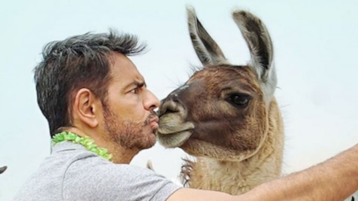 Eugenio Derbez reacciona al asesinato y tortura de un perro; exige se castigue el maltrato animal