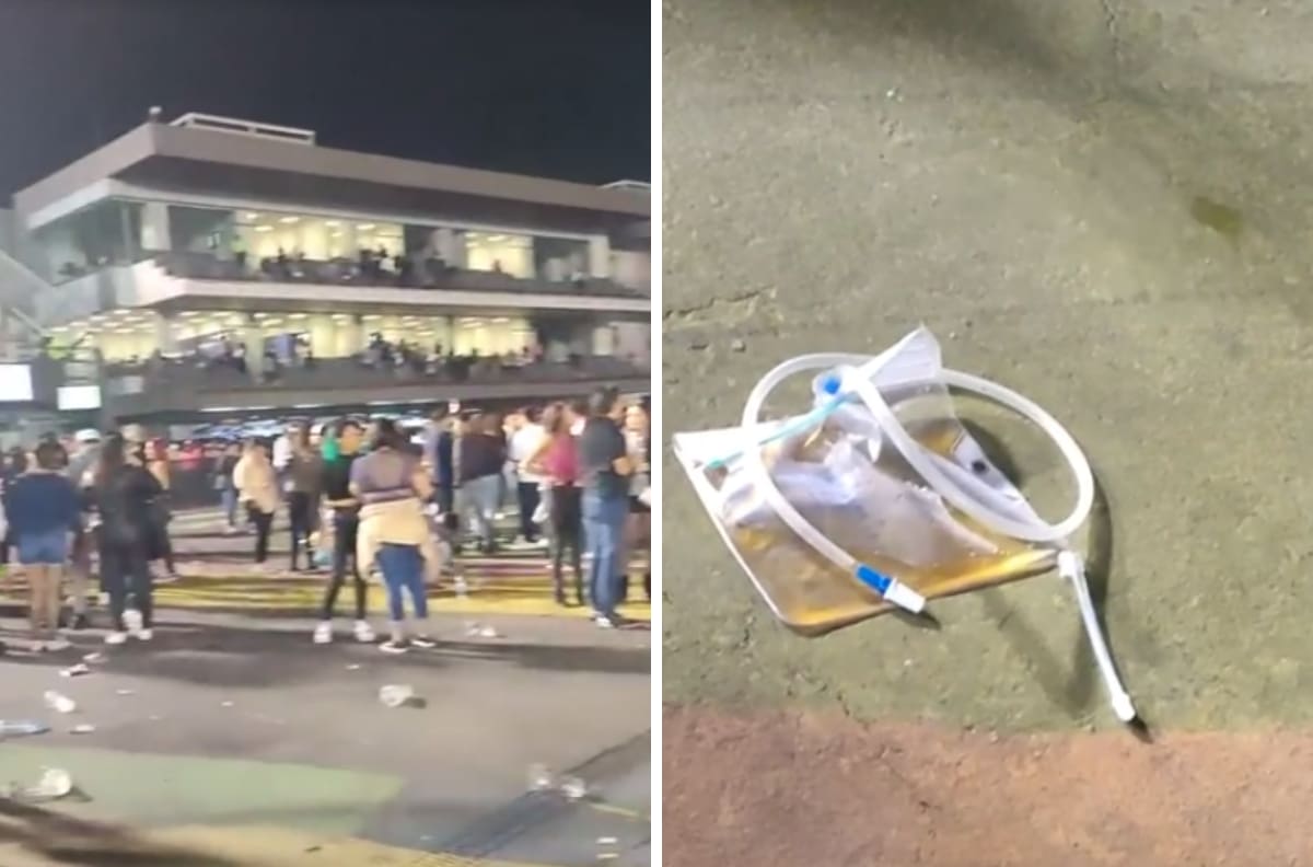 VIDEO| Encuentran bolsa de diálisis con orines en concierto de Daddy Yankee en el Foro sol