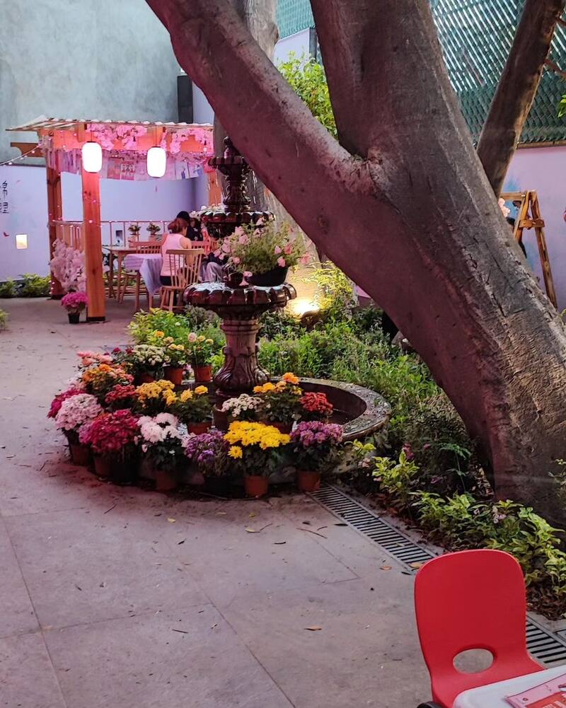 Snowmilk teas ofrece una mirada a Japón.