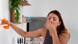 Sigue estos 4 consejos para eliminar los malos olores de tu cocina