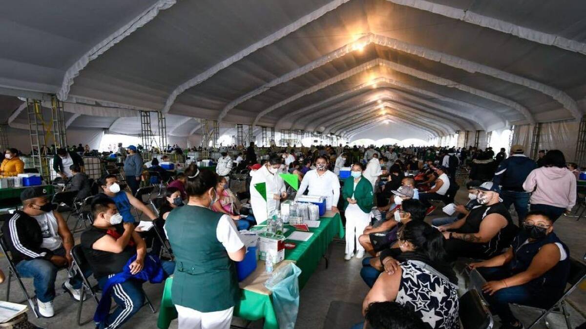 Vacuna rezagados CDMX: qué hacer si no te has vacunado y cómo pedir cita