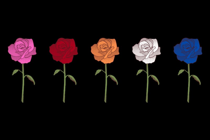Cinco rosas de diferentes colores: rosada, roja, naranja, blanca y azul.