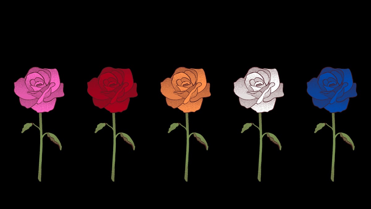 Cinco rosas de diferentes colores: rosada, roja, naranja, blanca y azul.