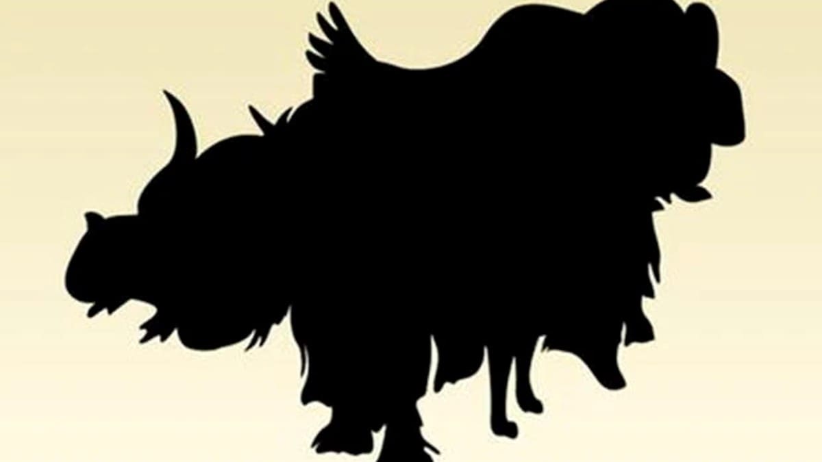 Acertijo visual: Encuentra todos los animales ocultos en la imagen, sólo tienes 10 segundos