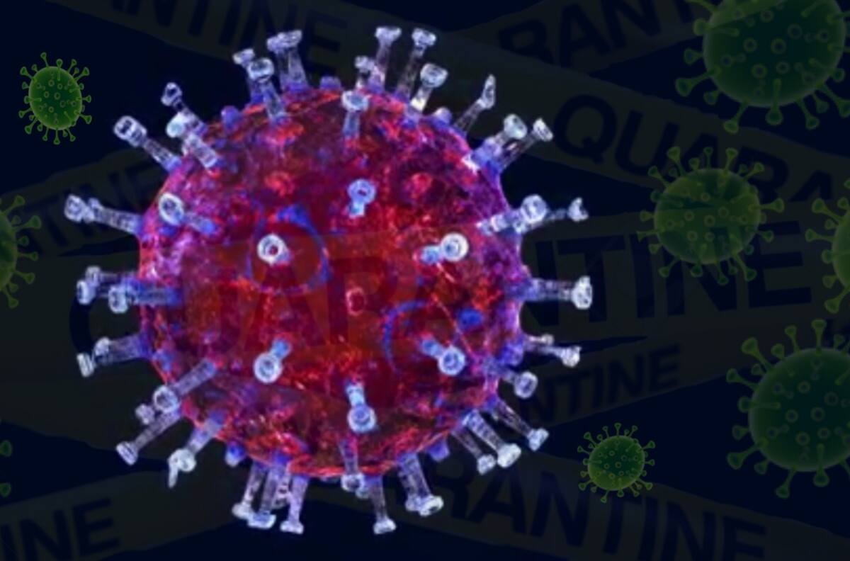 México incrementa en 12% los casos de coronavirus, pero disminuyen muertes