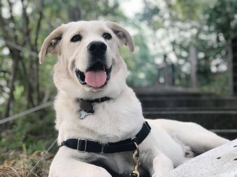 Esta es la bebida refrescante que se ha hecho viral en redes sociales.