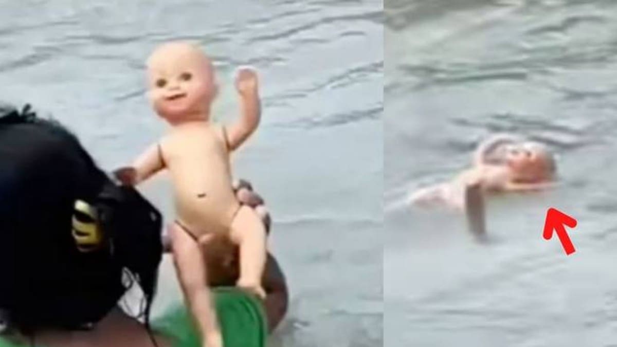 VIDEO | Escalofriante muñeca cobra vida y nada en un río, de inmediato se hizo viral