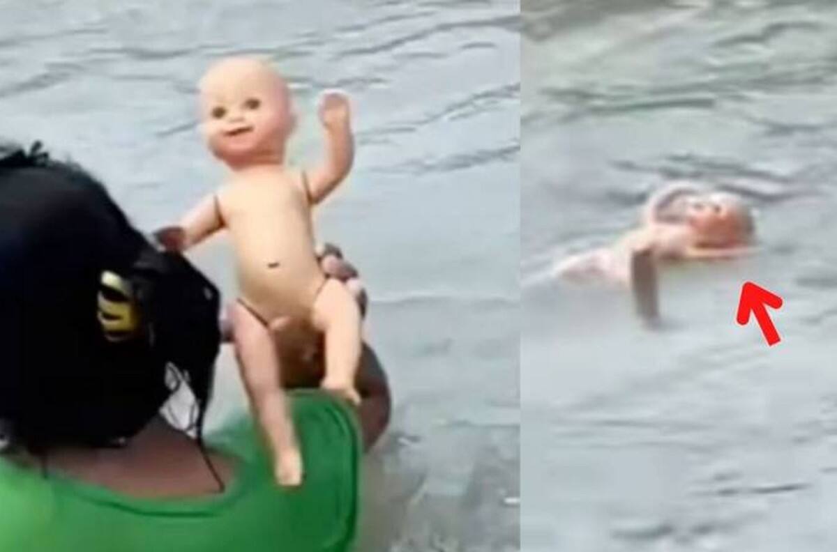 VIDEO | Escalofriante muñeca cobra vida y nada en un río, de inmediato se hizo viral