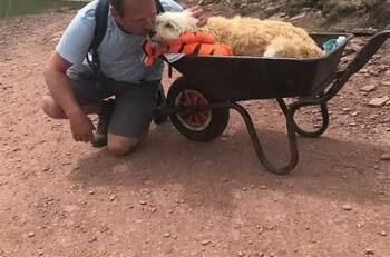 Un hombre llevó a su perro enfermo a dar un último paseo a su montaña favorita