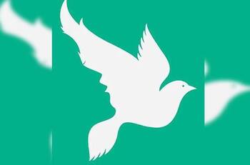 Test de personalidad: Lo primero que veas revelará tu lado más atractivo