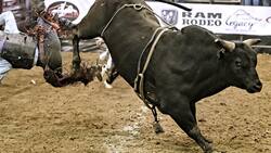 VIDEO | ¡Impactante! Toro salta a las gradas de un jaripeo en Michoacán