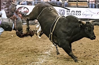 VIDEO | ¡Impactante! Toro salta a las gradas de un jaripeo en Michoacán
