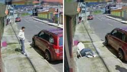 VIDEO| Hombre atrapa a perrito que se acaba de escapar, recibe un gran golpe y se hace viral