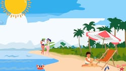 Test Visual: ¿Eres capaz de encontrar al pulpo que se esconde en la imagen?